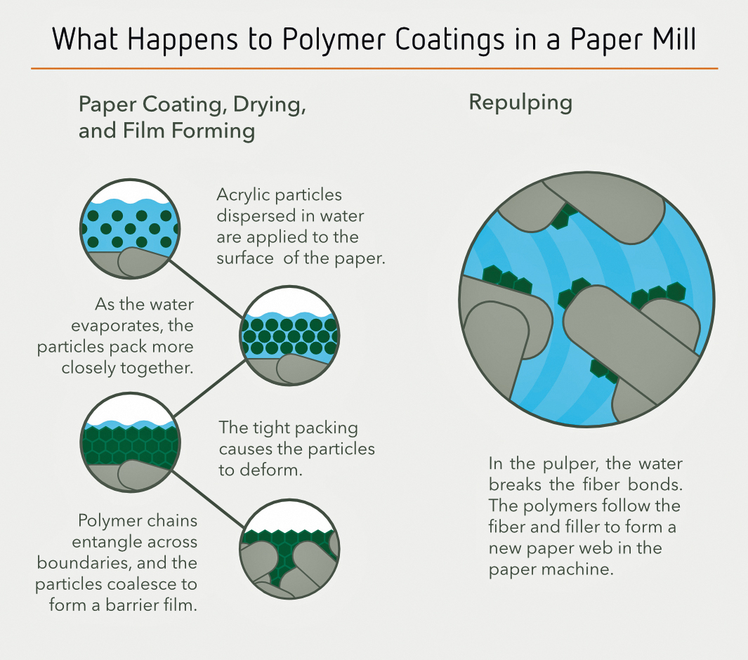 Recycling at Paper Mills Paper 360