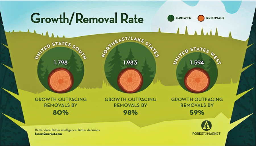 increases in tree removals