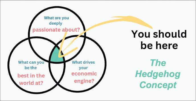 dont be a fox short-term