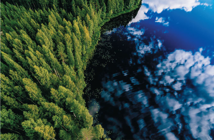 7 steps for impactful environmental initiatives